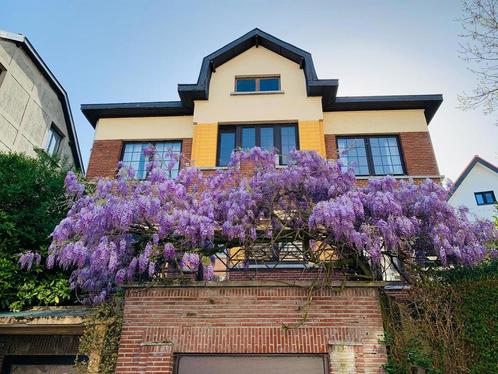 Villa à vendre à Forest, 5 chambres, Immo, Huizen en Appartementen te koop, Vrijstaande woning