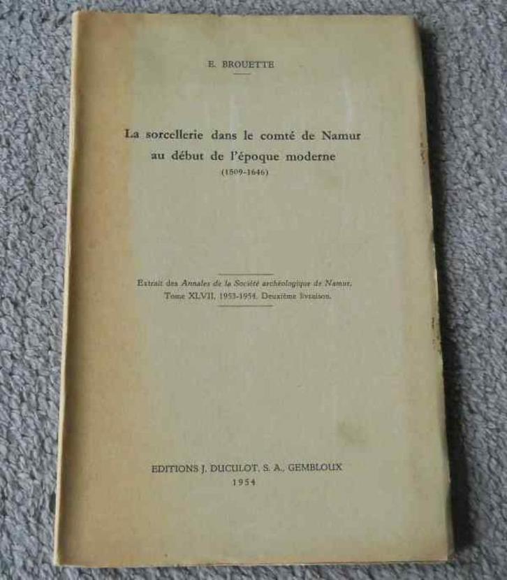 La sorcellerie dans le comté de Namur début époque moderne, Livres, Histoire nationale, Utilisé, Enlèvement ou Envoi