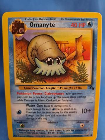 Omanyte 52/62 - Fossil beschikbaar voor biedingen