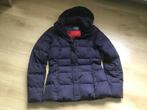 Jas Tommy Hilfiger maat S, Blauw, Ophalen of Verzenden, Zo goed als nieuw, Maat 36 (S)
