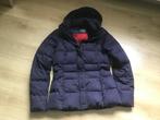 Jas Tommy Hilfiger maat M, Kleding | Dames, Maat 38/40 (M), Blauw, Ophalen of Verzenden, Zo goed als nieuw