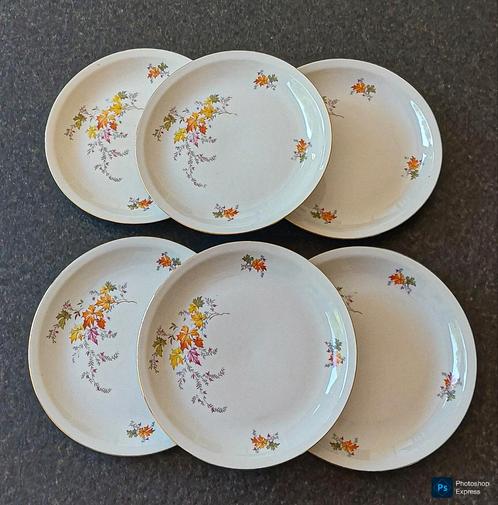 Borden Colditz Porzellan, Antiek en Kunst, Antiek | Servies los, Ophalen of Verzenden