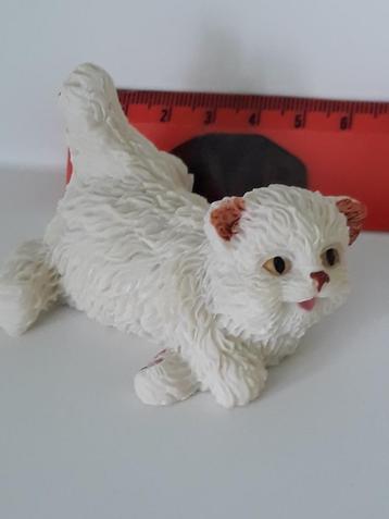 verzamelaars van katten beschikbaar voor biedingen