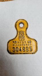 platen oorlogsjaren 1940 tem 1944, Ophalen of Verzenden, Zo goed als nieuw