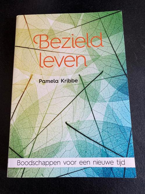 Bezield leven - Pamela Kribbe - nieuw, Livres, Ésotérisme & Spiritualité, Neuf, Enlèvement ou Envoi