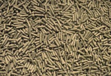 chinchilla Croc 20kg beschikbaar voor biedingen