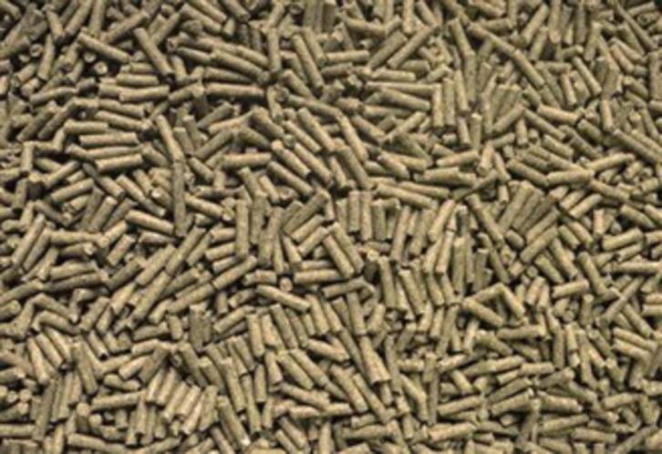 chinchilla Croc 20kg, Dieren en Toebehoren, Knaagdieren en Konijnen | Toebehoren, Nieuw, Verzorging, Ophalen of Verzenden