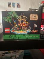 Lego Ray The Castaway 40566, Enfants & Bébés, Jouets | Duplo & Lego, Comme neuf, Lego, Enlèvement ou Envoi