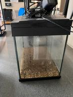Kleine aquarium, Dieren en Toebehoren, Ophalen, Gebruikt, Leeg aquarium