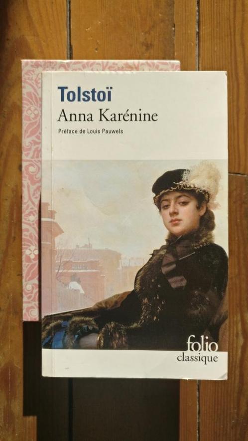 Léon Tolstoï, 'Anna Karénine', Boeken, Romans, Zo goed als nieuw, Europa overig, Ophalen of Verzenden