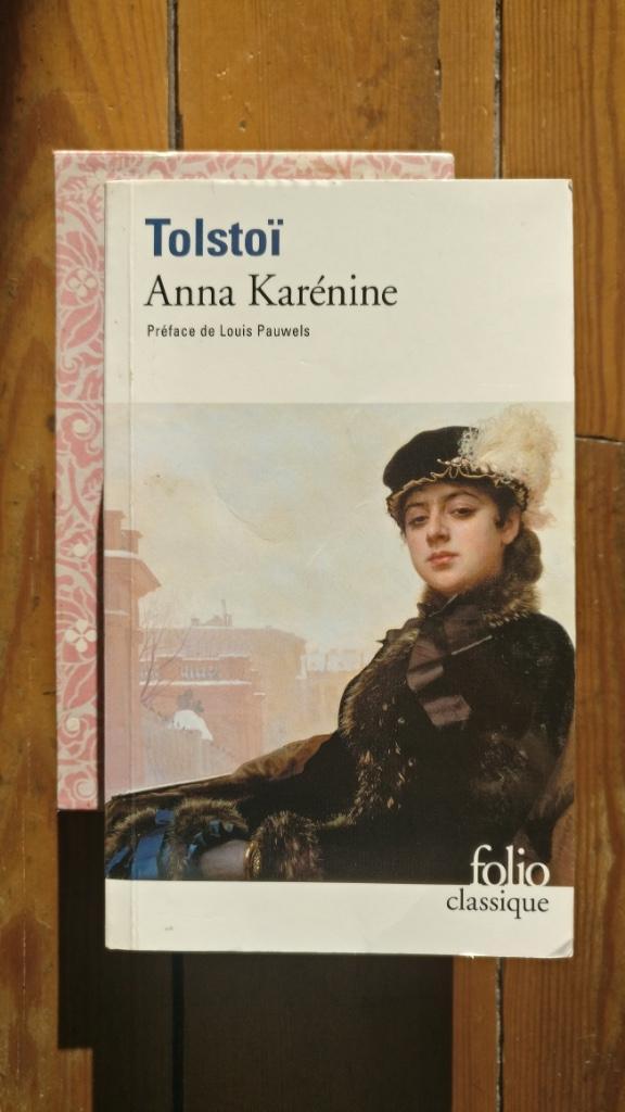 Léon Tolstoï, 'Anna Karénine', Boeken, Romans, Zo goed als nieuw, Europa overig, Ophalen of Verzenden