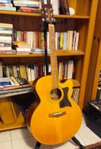 Mooie Tanglewood TW 155-ST ak/el gitaar 2004 + hoes, Enlèvement, Utilisé, Guitare Western ou Guitare Folk, Avec capteur (piezo)