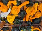 Sierfruit, Tuin en Terras, Planten | Tuinplanten, Ophalen, Overige soorten