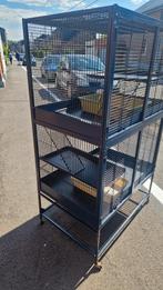 Cage Savic 95, Ophalen, Gebruikt, Kooi, Rat
