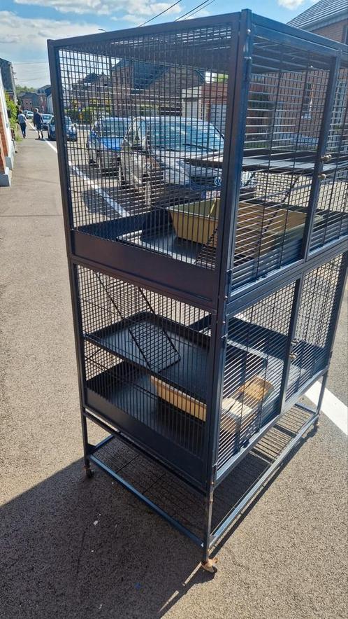 Cage Savic 95, Dieren en Toebehoren, Knaagdieren en Konijnen | Hokken en Kooien, Gebruikt, Kooi, Fret, Rat, Ophalen