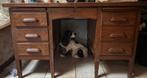 Bureau Vintage en Chêne avec Sept Tiroirs, 1940s, Huis en Inrichting, Ophalen of Verzenden, Gebruikt, Bureau