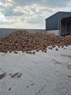 Voederbieten te koop, Ophalen