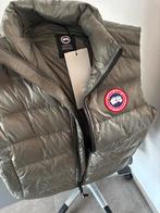 canada goose, Kleding | Heren, Bodywarmers, Nieuw, Groen, Maat 46 (S) of kleiner, Canada goose