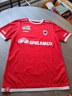 Matchworn Shirt Royal Antwerp, Verzamelen, Ophalen of Verzenden, Zo goed als nieuw, Shirt