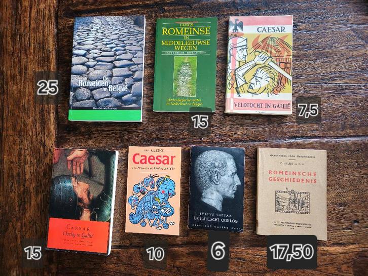 Romeinen - Julius Caesar - Belgie - Wegen, Boeken, Geschiedenis | Wereld, Gelezen, Ophalen of Verzenden