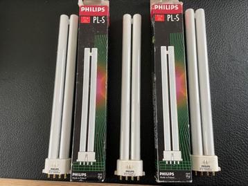 PL-S 5 - lampen Philips - 3 stuks beschikbaar voor biedingen