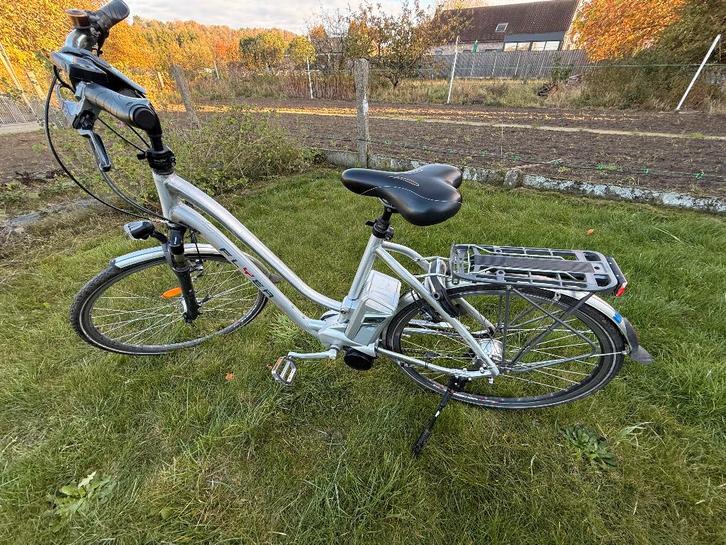 Flyer De Luxe 36 volt Met Rohloff speed hub 500/14, Hobby en Vrije tijd, Elektronica-componenten, Gebruikt, Ophalen