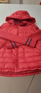 Tof jasje Tommy Hilfiger, Kleding | Dames, Wintersportkleding, Ophalen, Gedragen