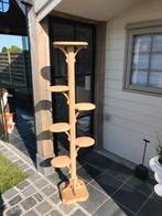 Zeer oude eiken houten planten staander, Ophalen of Verzenden