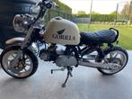 Jincheng Monkey/Gorilla, Fietsen en Brommers, Brommers | Overige merken, Ophalen, Gebruikt, Klasse B (45 km/u)