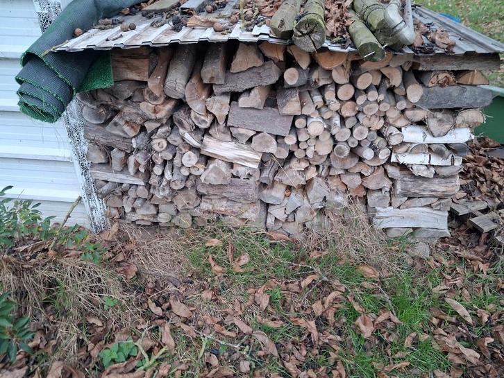 Gemengd hard brandhout van fruitbomen te koop, Tuin en Terras, Brandhout, Blokken, Overige houtsoorten, Minder dan 3 m³, Verzenden