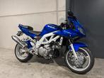 Suzuki SV1000S (bj 2005), Motoren, Motoren | Suzuki, Bedrijf, Overig, Meer dan 35 kW, 1000 cc