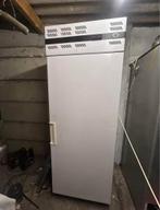 Frigo professionnel, Electroménager, Congélateurs, Congélateur, Classe énergétique A ou plus économe, Enlèvement ou Envoi, 160 cm ou plus