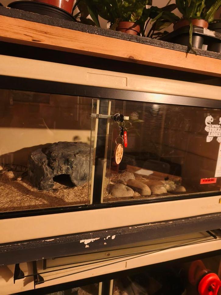 2 HERPTEK Terrarium 120x70x50, Dieren en Toebehoren, Reptielen en Amfibieën | Toebehoren, Verlichting, Ophalen of Verzenden