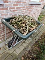 Aanmaakhout beuken volle grote kruiwagen te Turnhout, Enlèvement