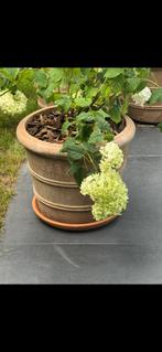 Terracotta bloempotten, Tuin en Terras, Ophalen, 40 cm of meer, Rond, Zo goed als nieuw