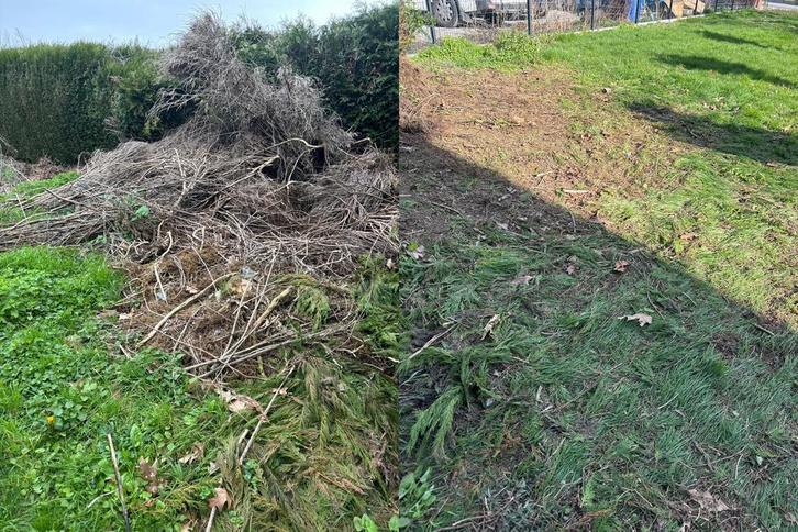 Évacuation de déchets verts, Tuin en Terras, Aarde en Mest, Ophalen of Verzenden