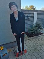 Harry Styles karton 170cm, Ophalen