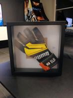 Matchworn Issued Framed Keepershandschoen Eiji Kawashima, Ophalen of Verzenden, Gebruikt, Handschoenen