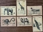 Oude etiketten/luciferdoosjes/DIEREN, Verzamelen, Ophalen of Verzenden, Zo goed als nieuw, Overige typen