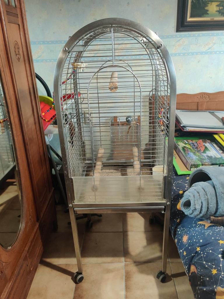 INOX papegaaikooi op wielen.
Totale H143*B54*D54 cm;, Ophalen