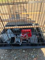 Vogelkooien, Enlèvement, Comme neuf