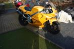 Triumph Daytona  T595, Plus de 35 kW, Super Sport, Particulier, 995 cm³