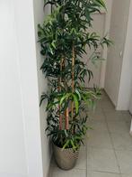 IKEA kunstplant, Ophalen, Zo goed als nieuw