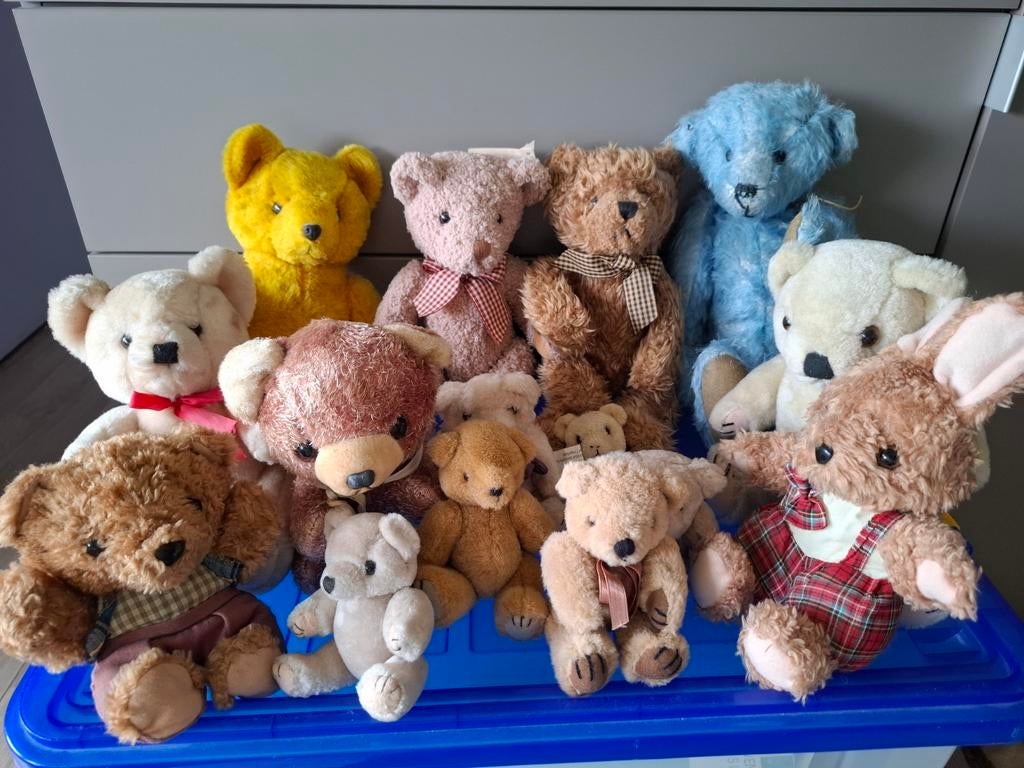 Oude beren - 15 stuks (30-60jaar oud), Ophalen