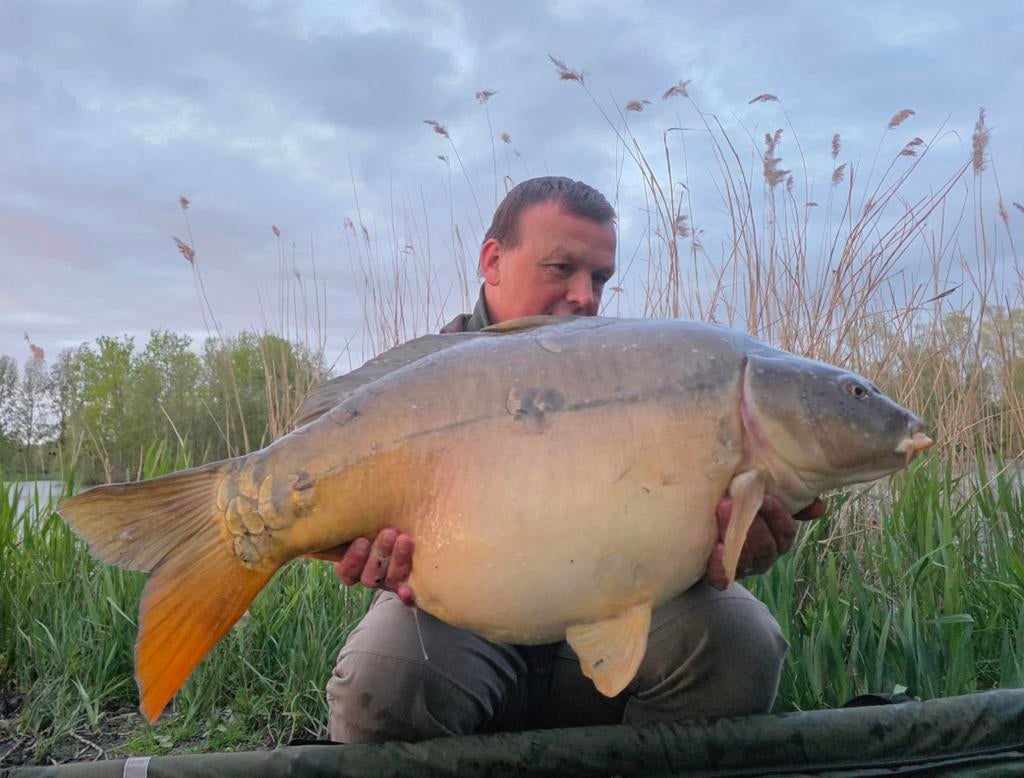 Ventes de garage, Sports nautiques & Bateaux, Pêche à la ligne | Carpes, Enlèvement