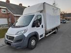 Coffre de meuble Fiat Ducato avec élévateur hydraulique, cli, Autos, Camionnettes & Utilitaires, Cuir, Achat, Bluetooth, Diesel