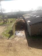 Stalmest van paarden, Enlèvement