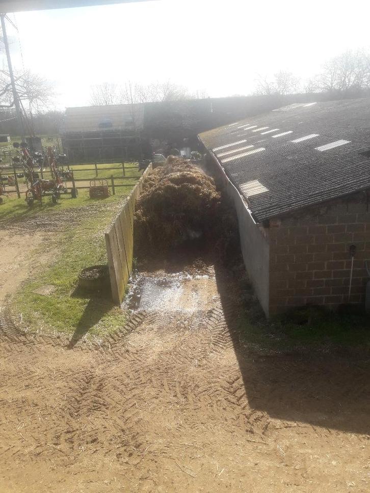Stalmest van paarden, Articles professionnels, Agriculture | Pommes de terre, Légumes, Fruits & Viande, Enlèvement