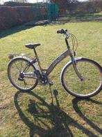 Fiets Golden Lion maat 43-53cm, Ophalen, Versnellingen