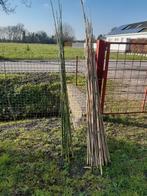 Bamboo-stokken gratis, Ophalen, Nieuw, Materiaal